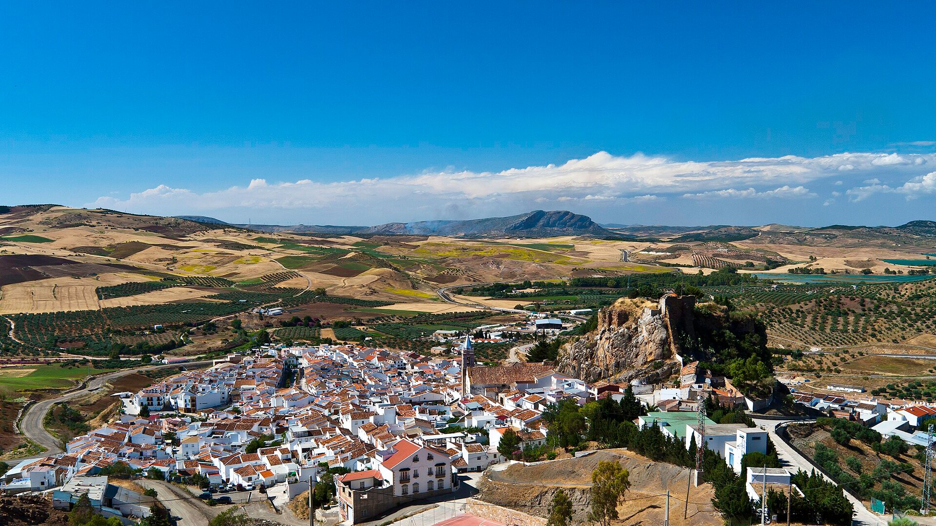 Ardales
