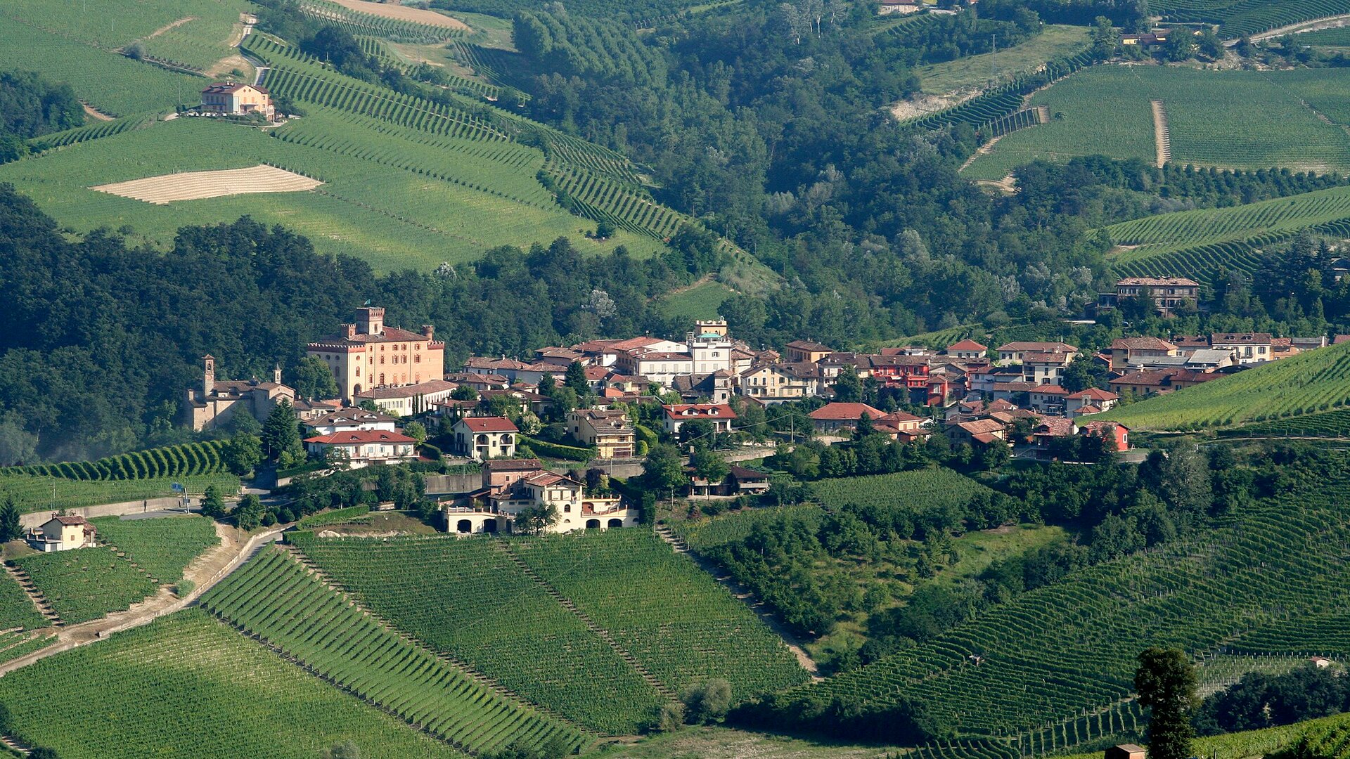 Barolo