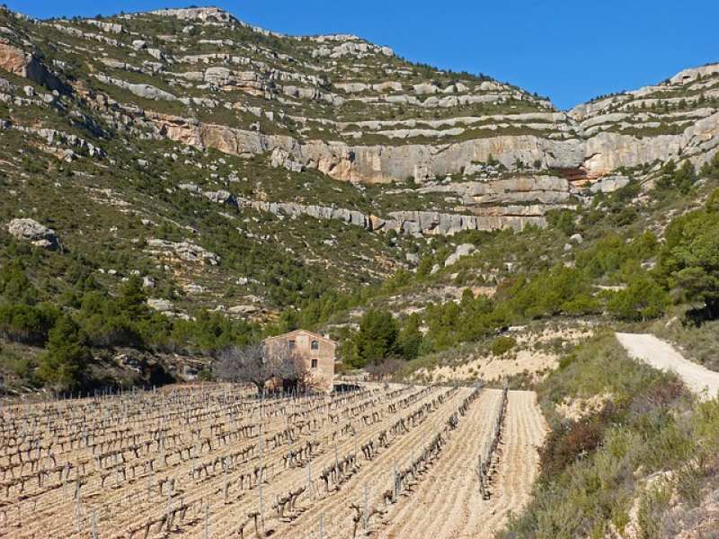 Callosa d'en Sarrià
