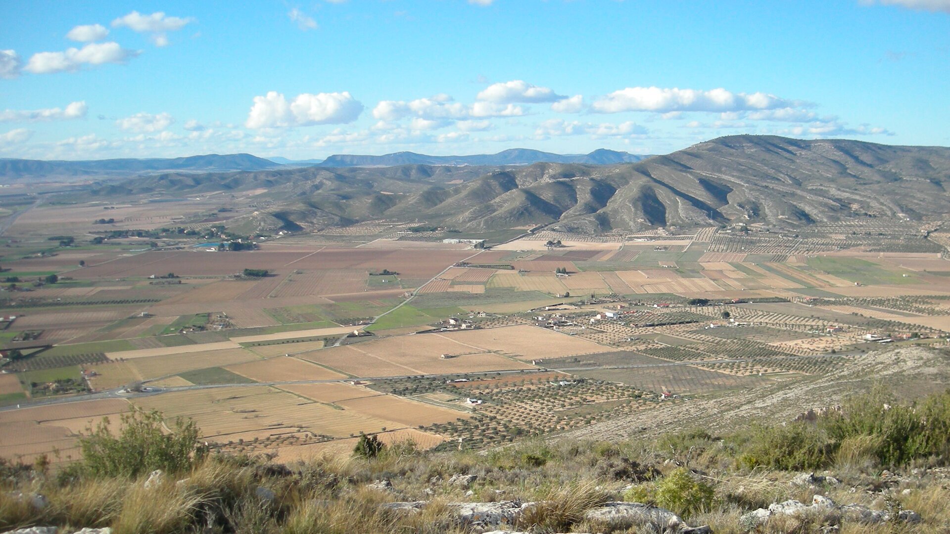 Cascante