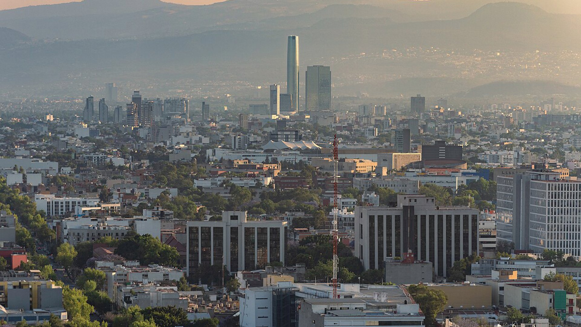 Coyoacan ,CDMX