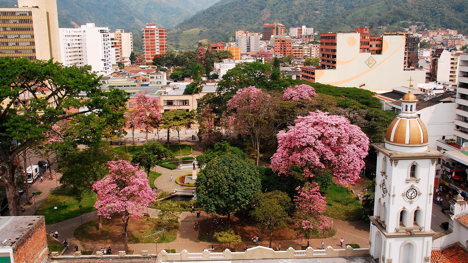 Ibague