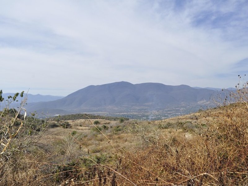 Iguala