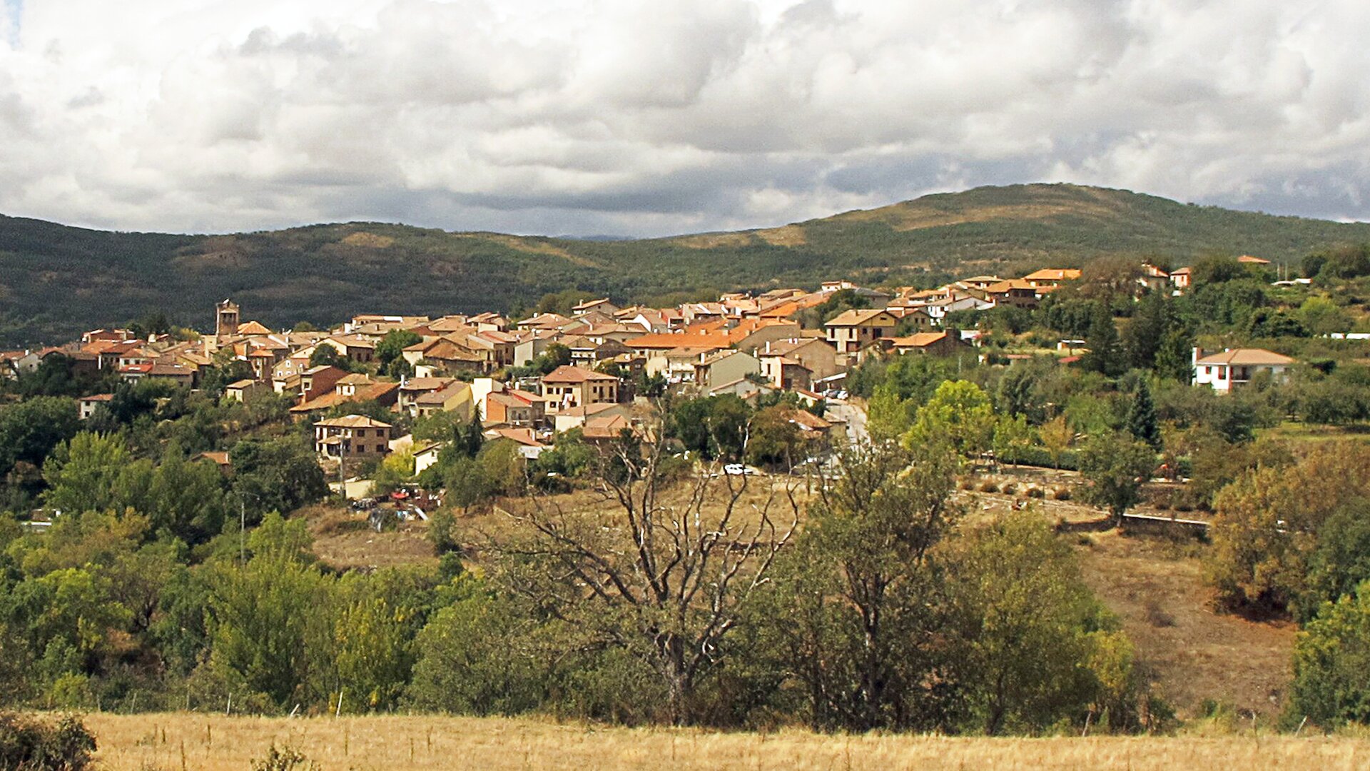 Montejo de la Sierra