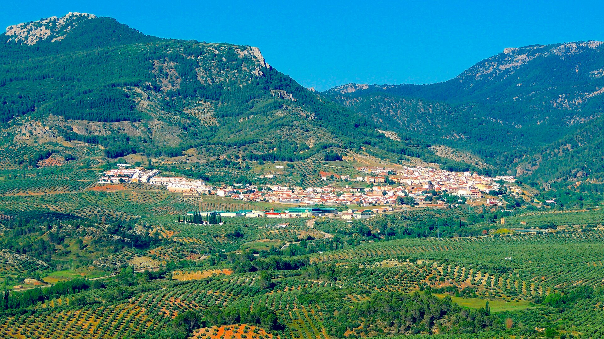 Orcera