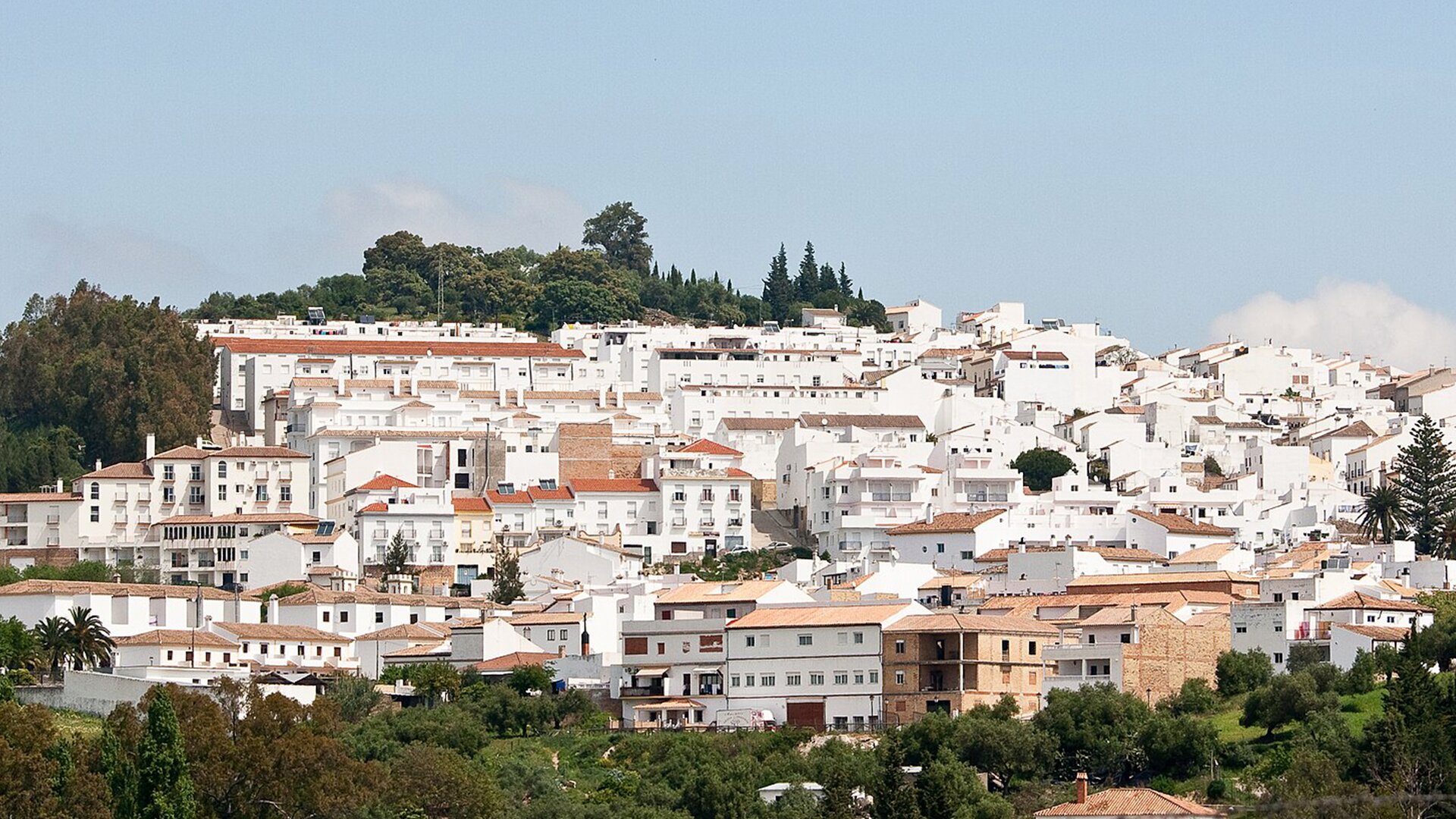 Prado del Rey