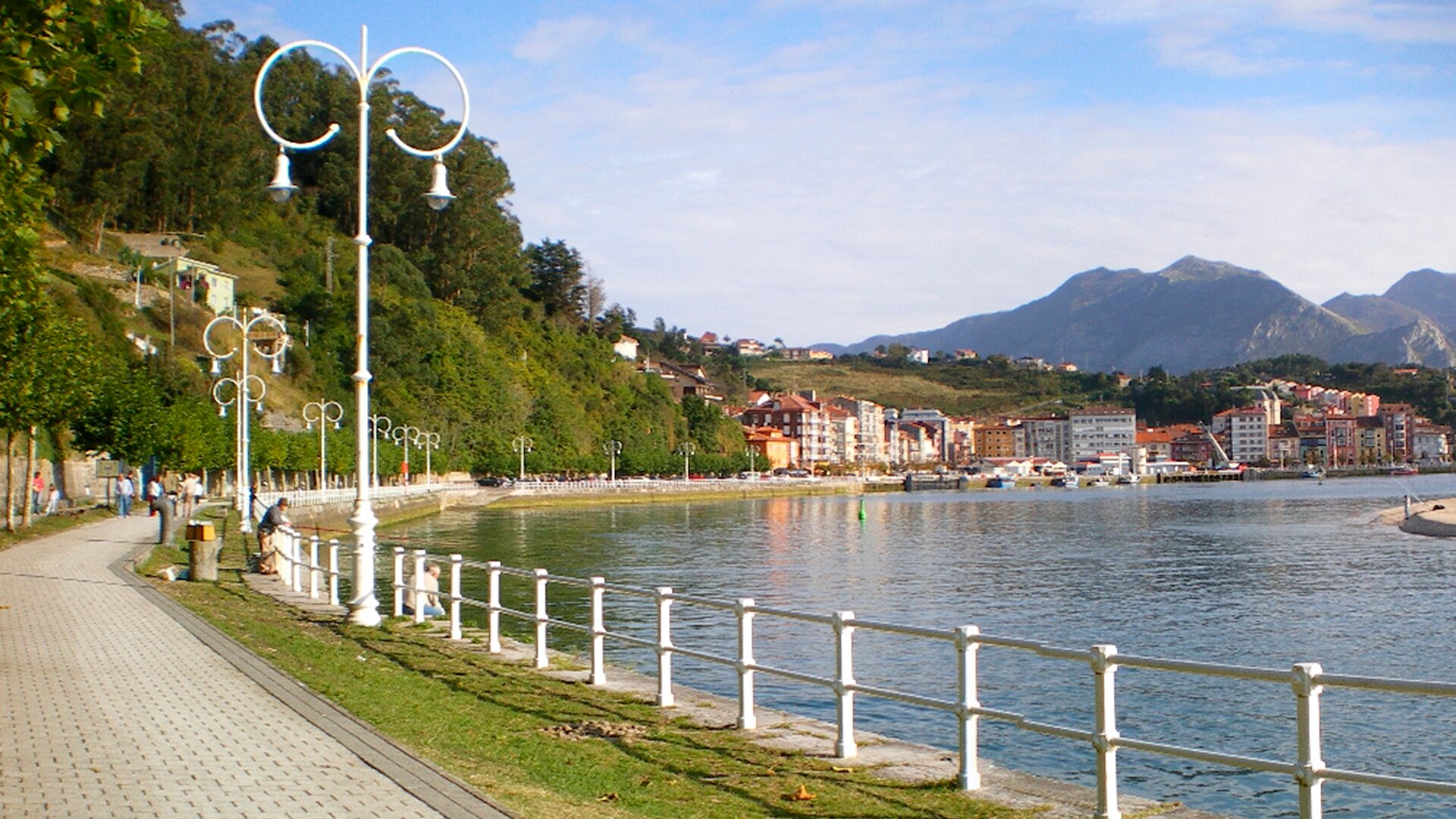 Ribeseya