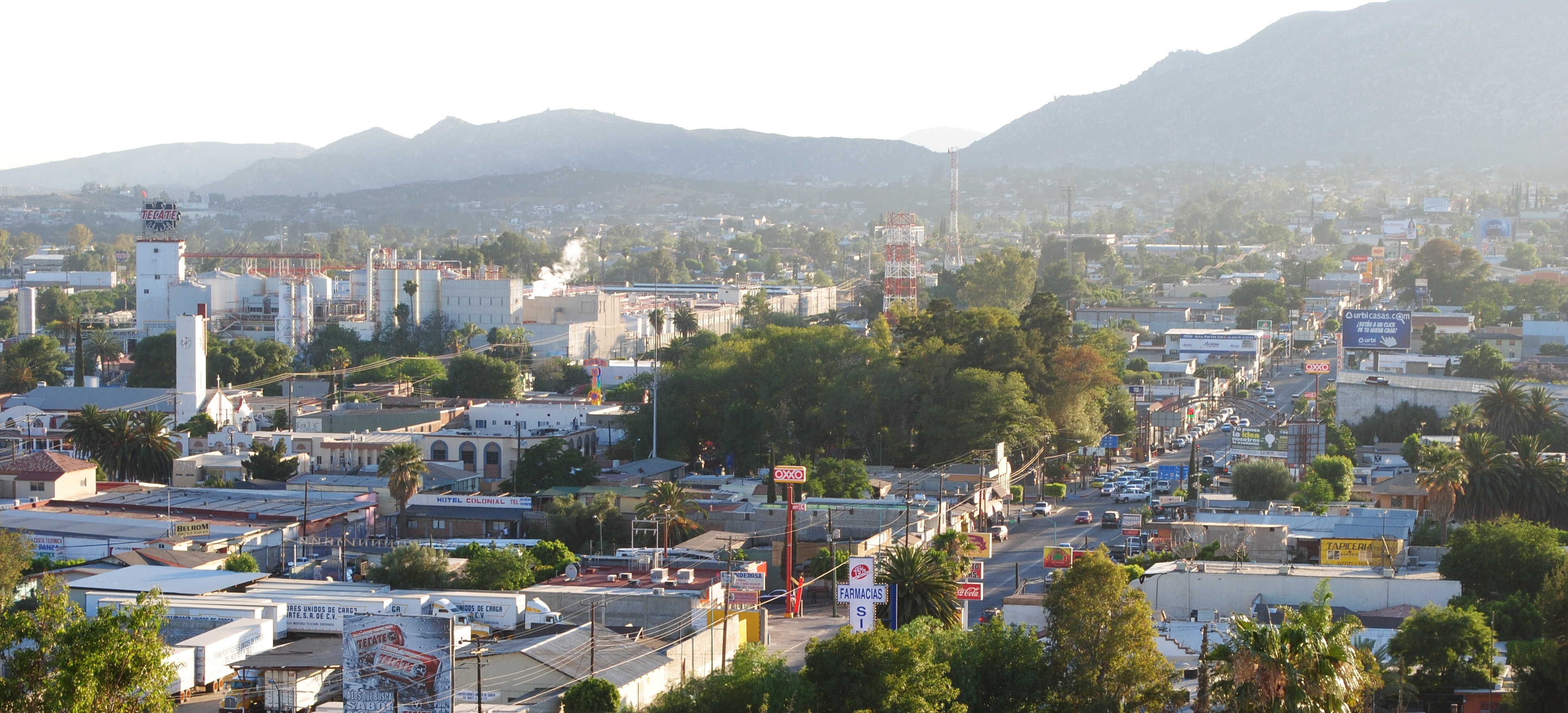 Tecate