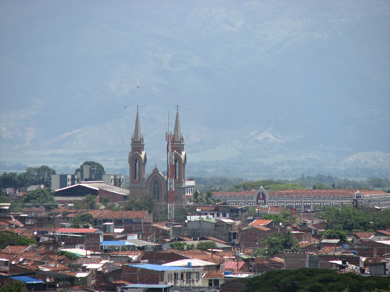 Tulua