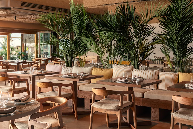 SALT Restaurant &amp; Beach Club